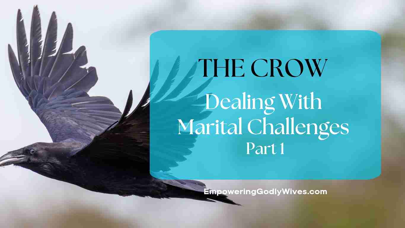 Dealing With Marital Challenges Part 1 (The Crow)