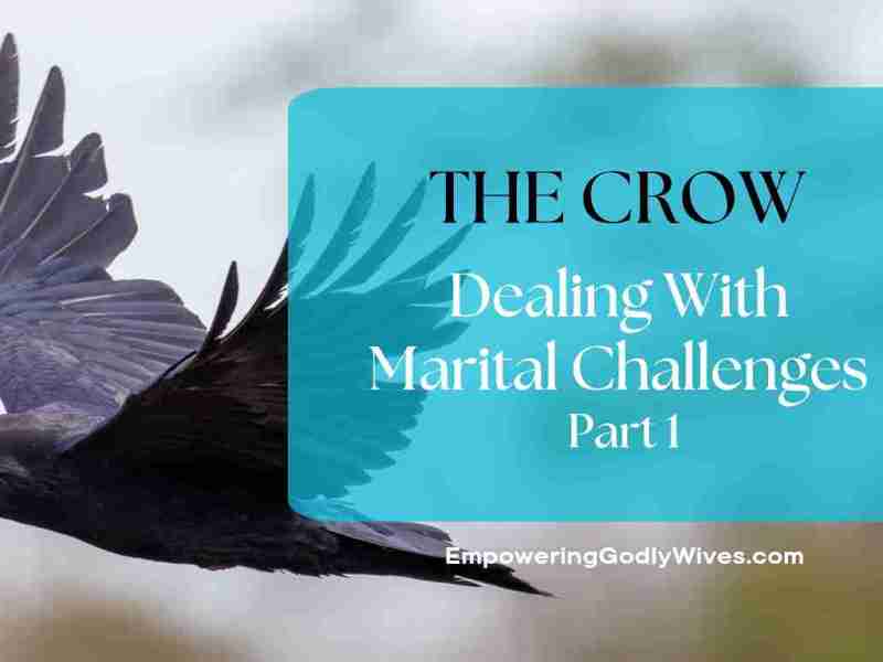 Dealing With Marital Challenges Part 1 (The&nbsp;Crow)