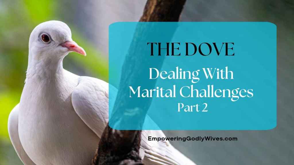 Dealing With Marital Challenges Part 2 (The&nbsp;Dove)