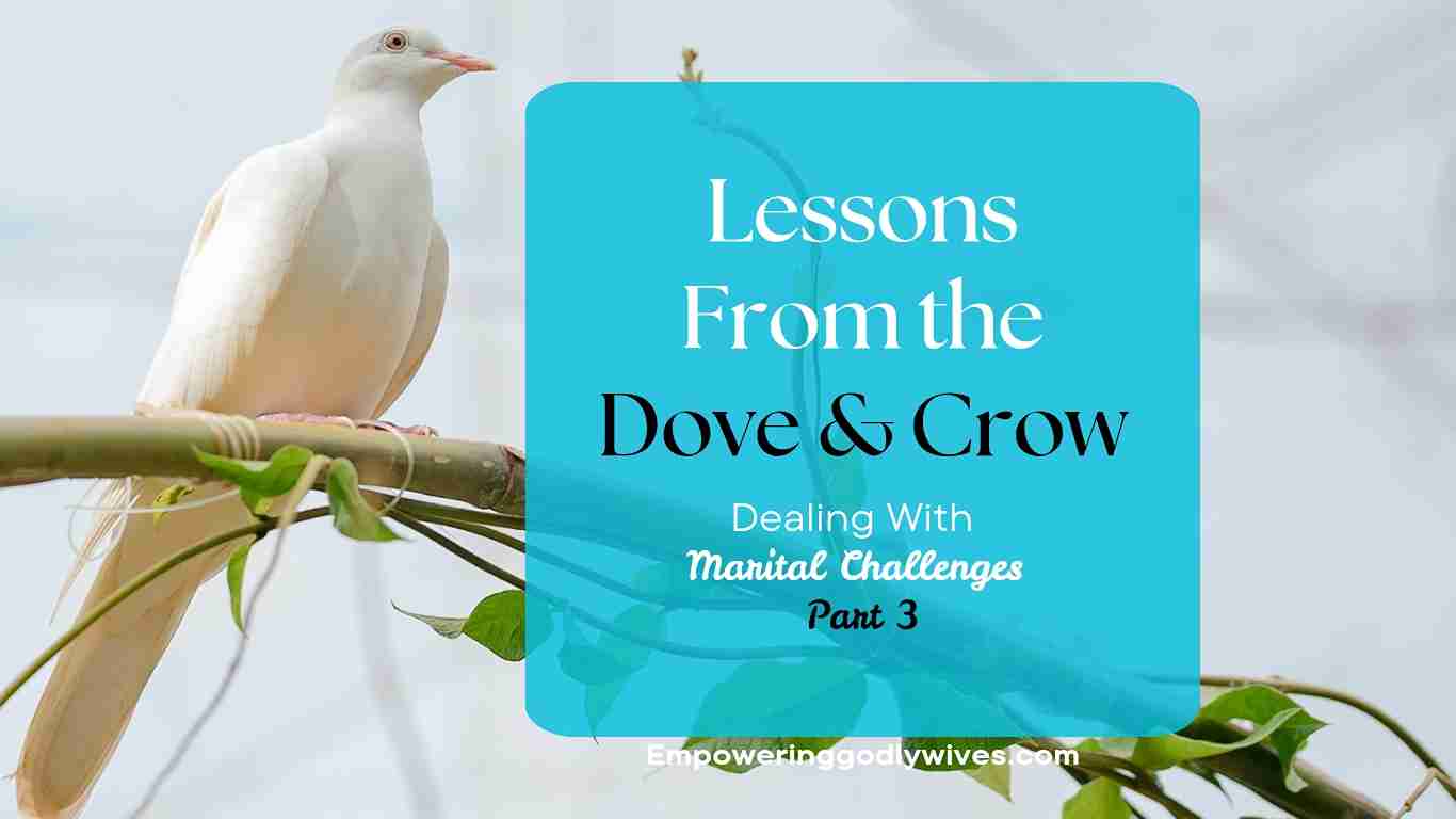Dealing With Marital Challenges Part 3